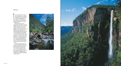 Wild Pages Press