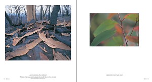 Windy Cliff Press - Wild Blue Pages - Pages 112-113